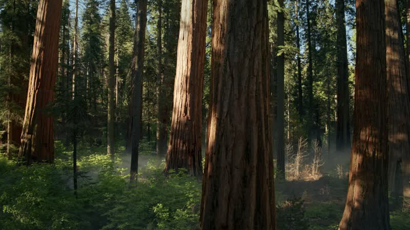 Your own drone or landscape footage