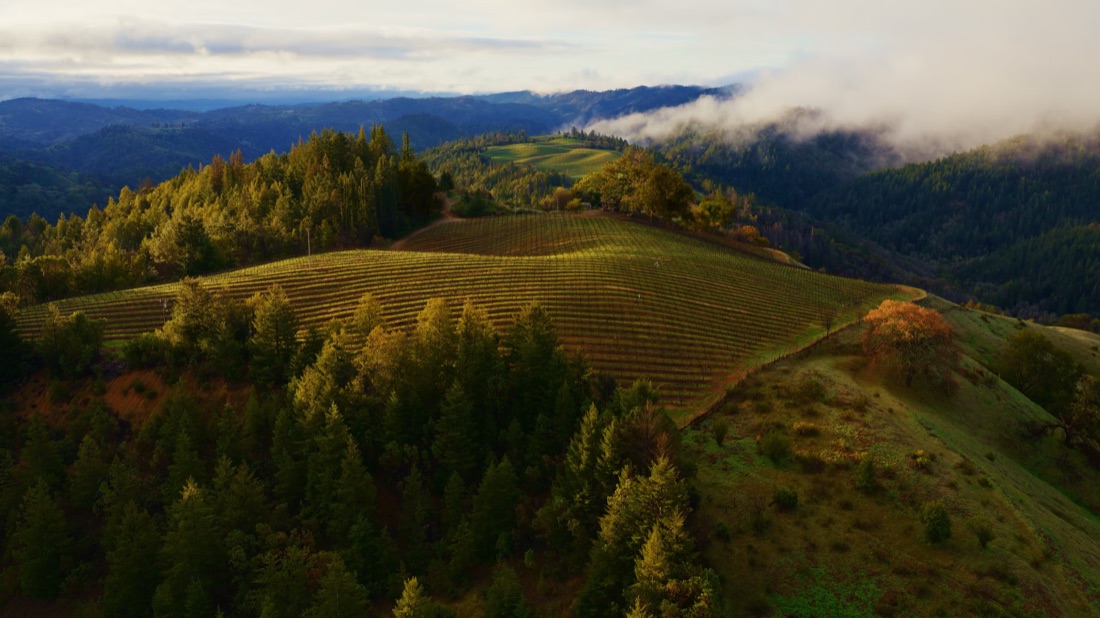 Sonoma Horizon wallpaper